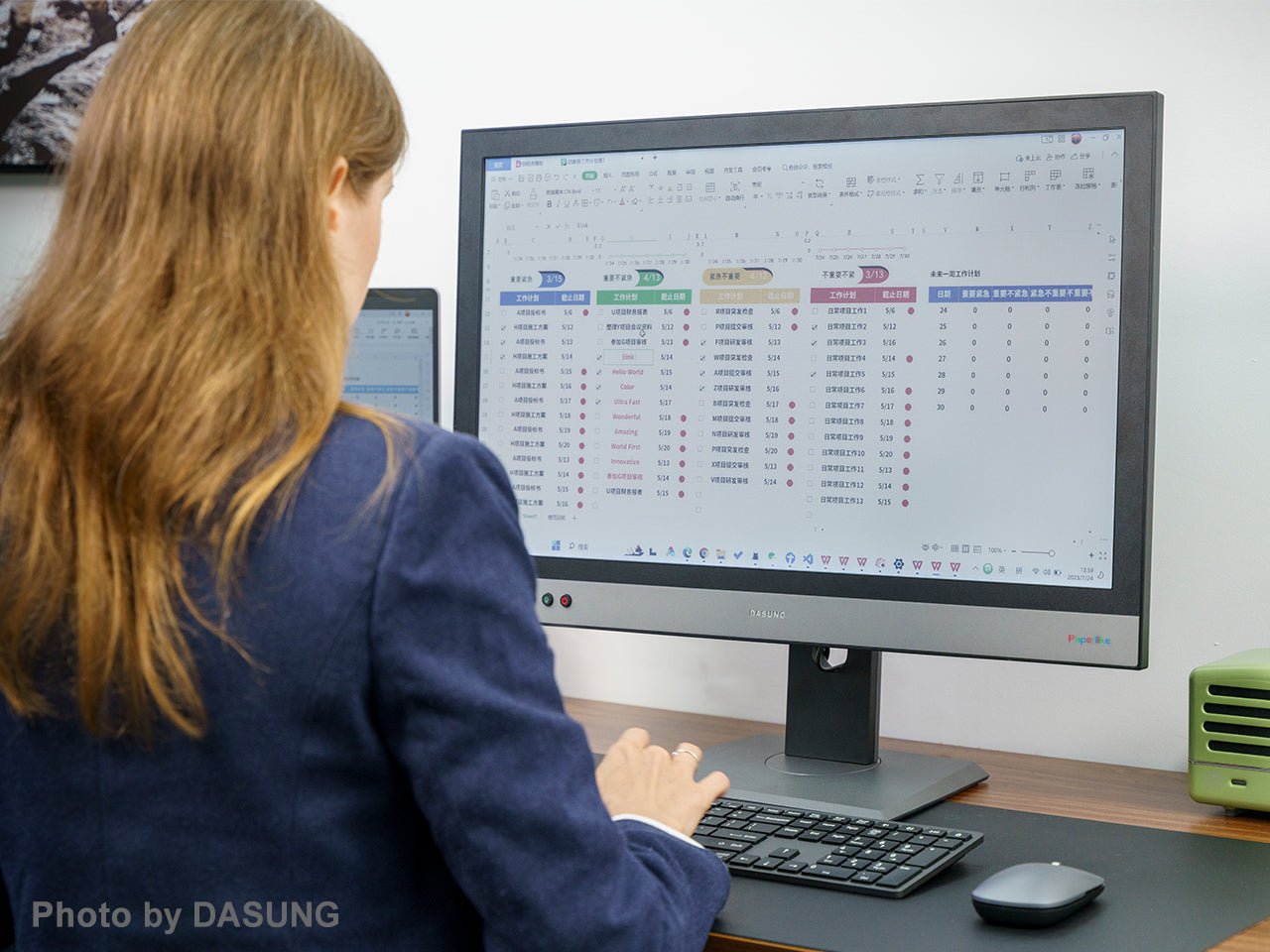 【33Hz】DASUNG Paperlike Color (Revolutionary): World First Ultra-fast Color E-ink Monitor (25.3-inch)