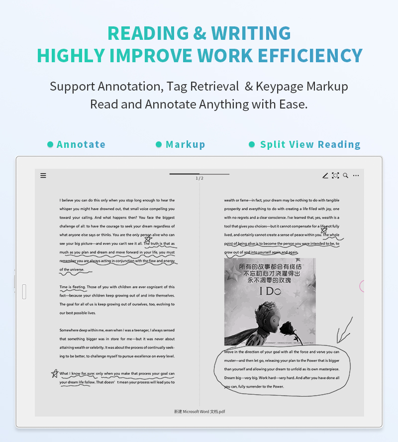 DASUNG A4 13.3-inch Digital Paper eReader
