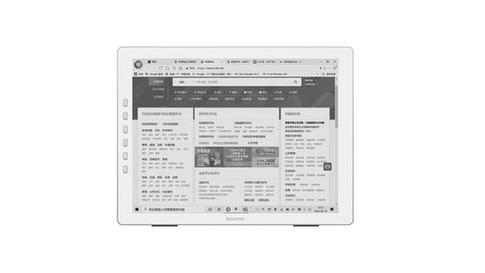 DASUNG 13.3" Paperlike HD E-ink Monitor