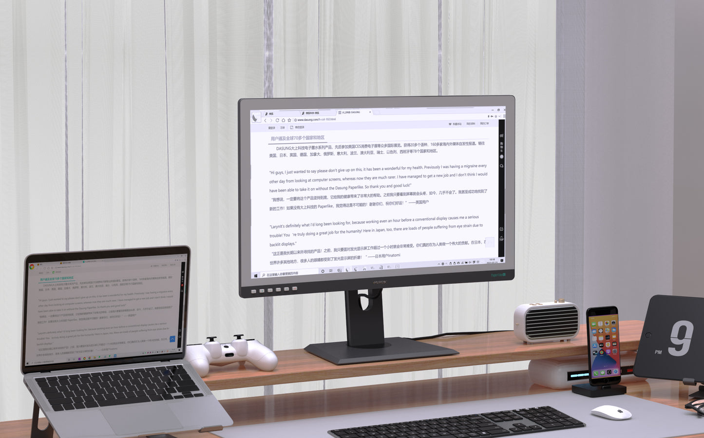 DASUNG 25.3" Curved E-ink Monitor: Paperlike 253 U