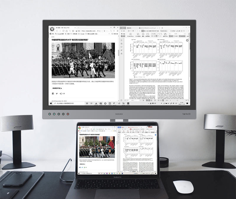 DASUNG Paperlike 253: World First 25.3" E-ink Monitor