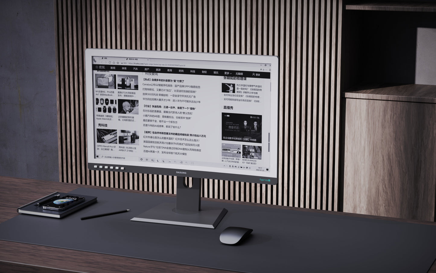 DASUNG 25.3" Curved E-ink Monitor: Paperlike 253 U