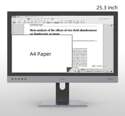 DASUNG 25.3" E-ink Monitor: Paperlike 253